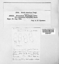 Image Associated With the Occurence